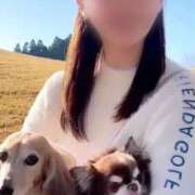 ヒメ日記 2025/05/16 19:37 投稿 星野 那由 ティアリズム代官山