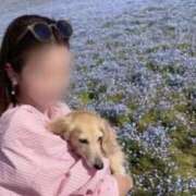 ヒメ日記 2025/09/25 19:27 投稿 星野 那由 ティアリズム代官山