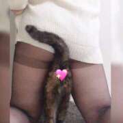 ヒメ日記 2025/02/16 08:58 投稿 えり 柏人妻花壇