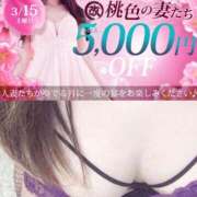 ヒメ日記 2025/03/13 23:00 投稿 えり 柏人妻花壇