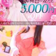 ヒメ日記 2025/03/14 23:01 投稿 えり 柏人妻花壇