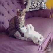 ヒメ日記 2025/03/22 22:01 投稿 えり 柏人妻花壇