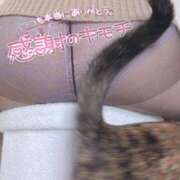 ヒメ日記 2025/08/13 23:00 投稿 えり 柏人妻花壇