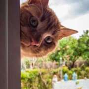 ヒメ日記 2025/11/26 08:30 投稿 えり 柏人妻花壇