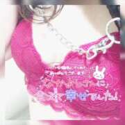 ヒメ日記 2026/04/07 23:00 投稿 えり 柏人妻花壇