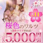 ヒメ日記 2026/04/11 09:02 投稿 えり 柏人妻花壇