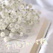 ヒメ日記 2024/12/29 14:35 投稿 佳乃（よしの） 出会い系人妻ネットワーク札幌駅～大通り・すすきの編