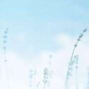 ヒメ日記 2025/01/16 13:33 投稿 佳乃（よしの） 出会い系人妻ネットワーク札幌駅～大通り・すすきの編