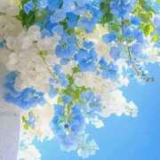 ヒメ日記 2025/07/23 15:45 投稿 佳乃（よしの） 出会い系人妻ネットワーク札幌駅～大通り・すすきの編