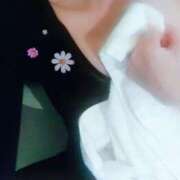 ヒメ日記 2025/01/13 14:30 投稿 華 出会い系人妻ネットワーク札幌駅～大通り・すすきの編