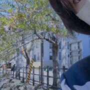 ヒメ日記 2025/03/22 11:36 投稿 華 出会い系人妻ネットワーク札幌駅～大通り・すすきの編