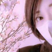 ヒメ日記 2025/04/26 09:08 投稿 華 出会い系人妻ネットワーク札幌駅～大通り・すすきの編