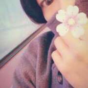 華 チューリップ、とかけまして…🌷 出会い系人妻ネットワーク札幌駅～大通り・すすきの編