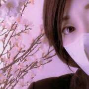 ヒメ日記 2026/04/03 10:49 投稿 華 出会い系人妻ネットワーク札幌駅～大通り・すすきの編