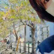 ヒメ日記 2026/04/22 09:13 投稿 華 出会い系人妻ネットワーク札幌駅～大通り・すすきの編