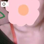 ヒメ日記 2026/09/14 01:01 投稿 華 出会い系人妻ネットワーク札幌駅～大通り・すすきの編