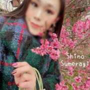 ヒメ日記 2026/01/27 07:02 投稿 NHすめらぎ しの SPICY×MILK SHAKE ニューハーフ専門×痴的美少女専門