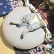 ヒメ日記 2025/01/03 20:50 投稿 麻子 出会い系人妻ネットワーク札幌駅～大通り・すすきの編