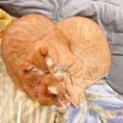 ヒメ日記 2025/01/05 20:31 投稿 麻子 出会い系人妻ネットワーク札幌駅～大通り・すすきの編