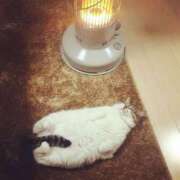 ヒメ日記 2025/01/08 21:02 投稿 麻子 出会い系人妻ネットワーク札幌駅～大通り・すすきの編