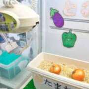 ヒメ日記 2025/01/17 16:03 投稿 麻子 出会い系人妻ネットワーク札幌駅～大通り・すすきの編