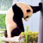 ヒメ日記 2025/01/21 11:12 投稿 麻子 出会い系人妻ネットワーク札幌駅～大通り・すすきの編