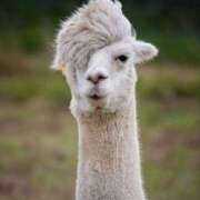 ヒメ日記 2025/01/21 15:36 投稿 麻子 出会い系人妻ネットワーク札幌駅～大通り・すすきの編