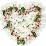 ヒメ日記 2025/02/05 12:55 投稿 麻子 出会い系人妻ネットワーク札幌駅～大通り・すすきの編