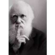 ヒメ日記 2025/02/12 13:13 投稿 麻子 出会い系人妻ネットワーク札幌駅～大通り・すすきの編