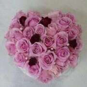 ヒメ日記 2025/02/14 17:36 投稿 麻子 出会い系人妻ネットワーク札幌駅～大通り・すすきの編