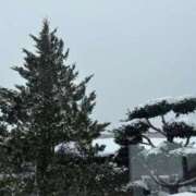 ヒメ日記 2025/02/26 12:56 投稿 麻子 出会い系人妻ネットワーク札幌駅～大通り・すすきの編