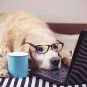 ヒメ日記 2025/03/03 20:43 投稿 麻子 出会い系人妻ネットワーク札幌駅～大通り・すすきの編