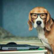 ヒメ日記 2025/03/05 19:25 投稿 麻子 出会い系人妻ネットワーク札幌駅～大通り・すすきの編