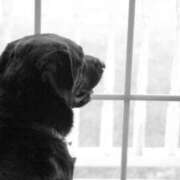 ヒメ日記 2025/03/07 11:27 投稿 麻子 出会い系人妻ネットワーク札幌駅～大通り・すすきの編