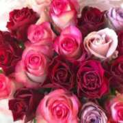 ヒメ日記 2025/03/18 16:09 投稿 麻子 出会い系人妻ネットワーク札幌駅～大通り・すすきの編