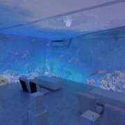 ヒメ日記 2025/04/16 15:40 投稿 麻子 出会い系人妻ネットワーク札幌駅～大通り・すすきの編