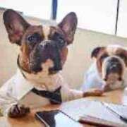 ヒメ日記 2025/04/23 20:37 投稿 麻子 出会い系人妻ネットワーク札幌駅～大通り・すすきの編