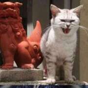 ヒメ日記 2025/04/24 17:34 投稿 麻子 出会い系人妻ネットワーク札幌駅～大通り・すすきの編