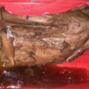 ヒメ日記 2025/05/03 16:05 投稿 麻子 出会い系人妻ネットワーク札幌駅～大通り・すすきの編