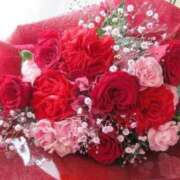 ヒメ日記 2025/05/12 16:08 投稿 麻子 出会い系人妻ネットワーク札幌駅～大通り・すすきの編