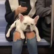 ヒメ日記 2025/05/13 16:33 投稿 麻子 出会い系人妻ネットワーク札幌駅～大通り・すすきの編