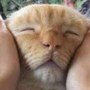 ヒメ日記 2025/05/14 18:46 投稿 麻子 出会い系人妻ネットワーク札幌駅～大通り・すすきの編