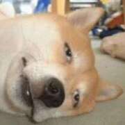 ヒメ日記 2025/05/18 10:25 投稿 麻子 出会い系人妻ネットワーク札幌駅～大通り・すすきの編