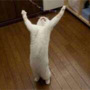 ヒメ日記 2025/05/21 17:33 投稿 麻子 出会い系人妻ネットワーク札幌駅～大通り・すすきの編