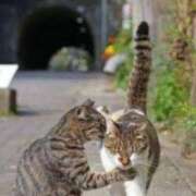 ヒメ日記 2025/05/22 15:27 投稿 麻子 出会い系人妻ネットワーク札幌駅～大通り・すすきの編