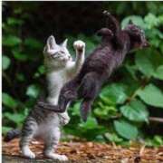 ヒメ日記 2025/05/23 14:48 投稿 麻子 出会い系人妻ネットワーク札幌駅～大通り・すすきの編