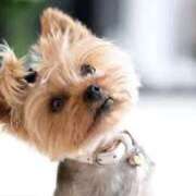 ヒメ日記 2025/06/02 16:03 投稿 麻子 出会い系人妻ネットワーク札幌駅～大通り・すすきの編