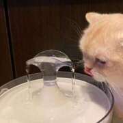 ヒメ日記 2025/06/24 14:27 投稿 麻子 出会い系人妻ネットワーク札幌駅～大通り・すすきの編