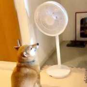 ヒメ日記 2025/07/01 17:18 投稿 麻子 出会い系人妻ネットワーク札幌駅～大通り・すすきの編