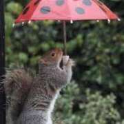ヒメ日記 2025/07/02 14:04 投稿 麻子 出会い系人妻ネットワーク札幌駅～大通り・すすきの編